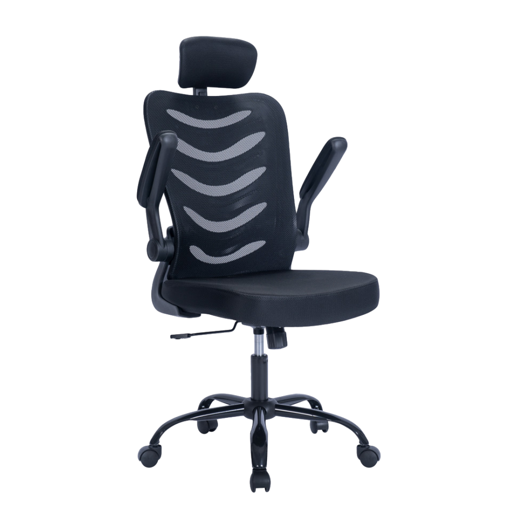 Ergonomic-budget-black-2-1-1024x1024