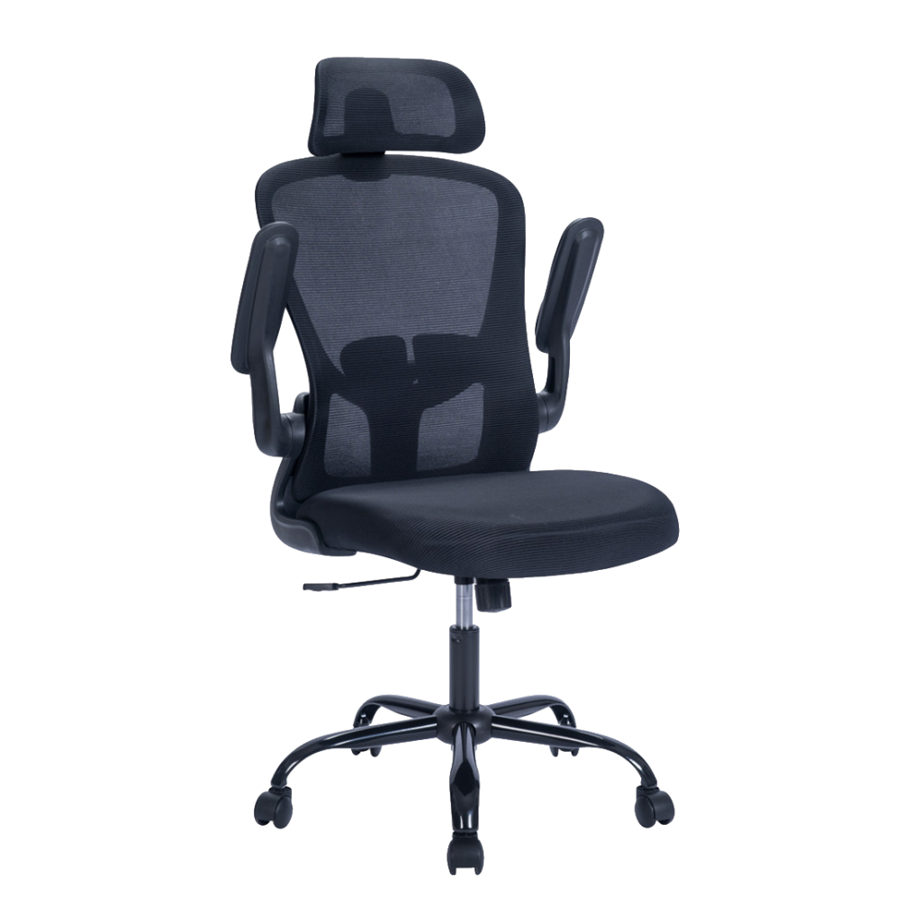 Ergonomic-budget-black-2-2-1024x1024