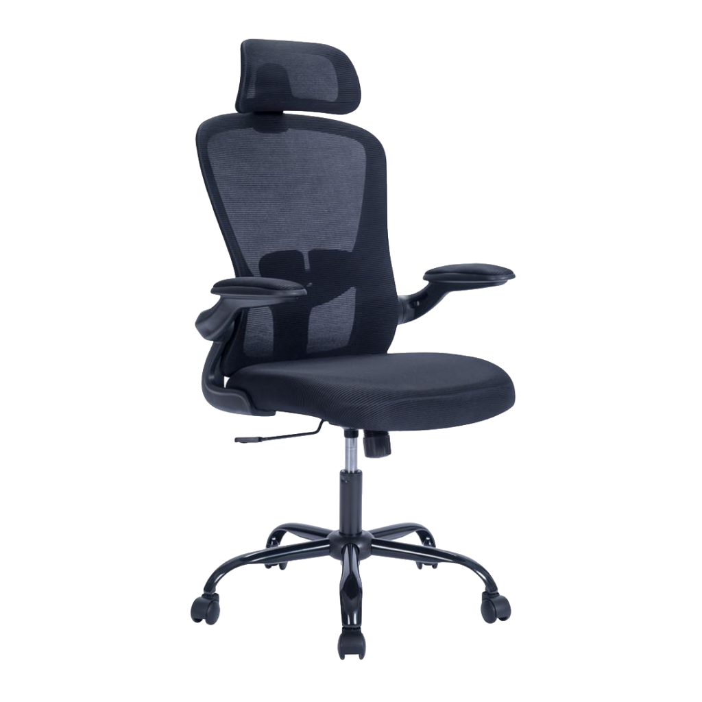 Ergonomic-budget-black-5-1024x1024