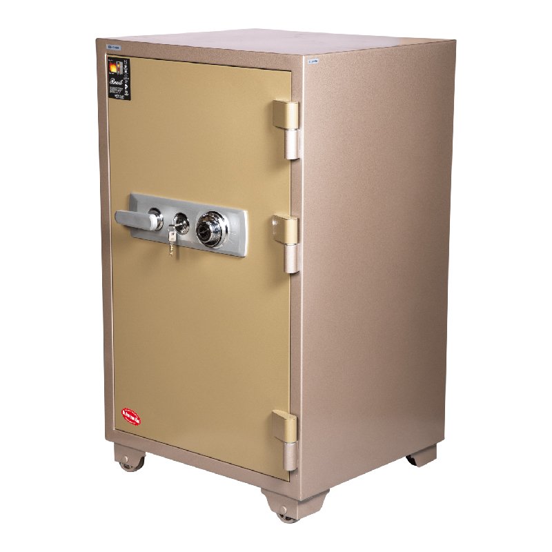 BS-D1000-V2-01