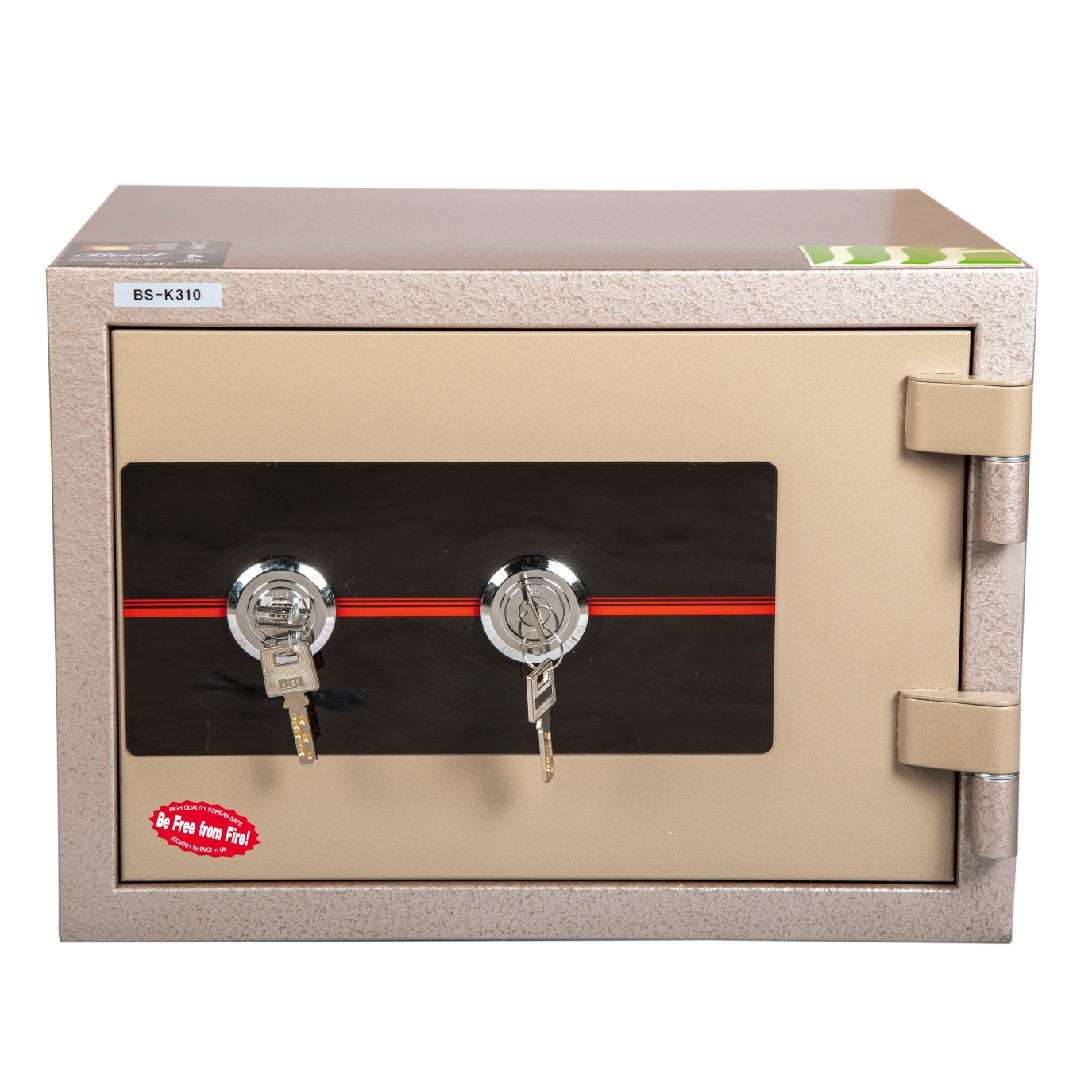 BS-K310-V1-01