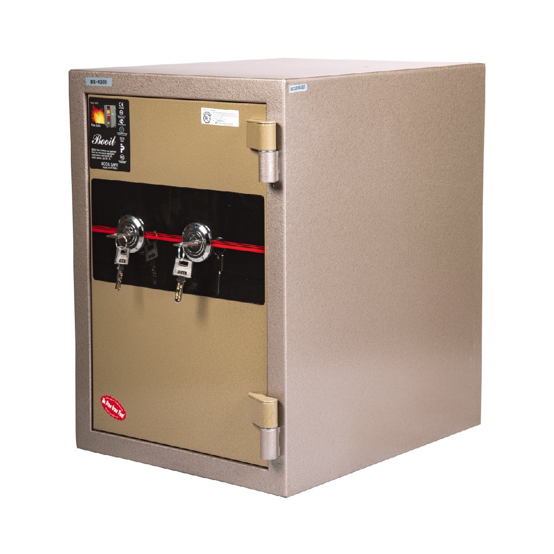 BS-K500-V2-01