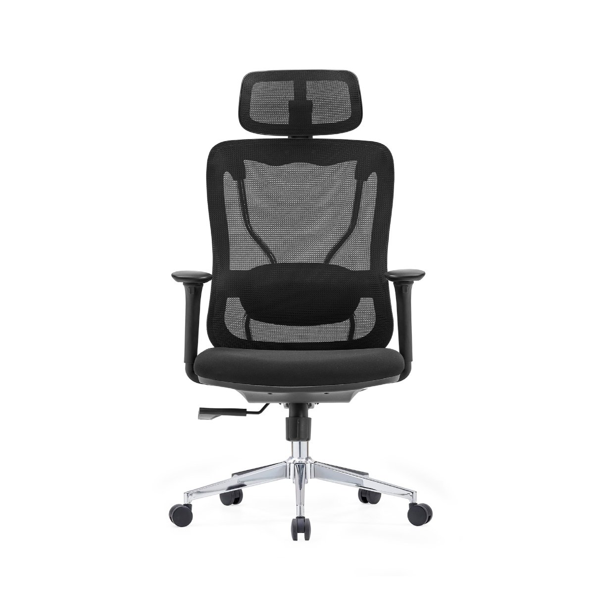 OC 216 - Image 2