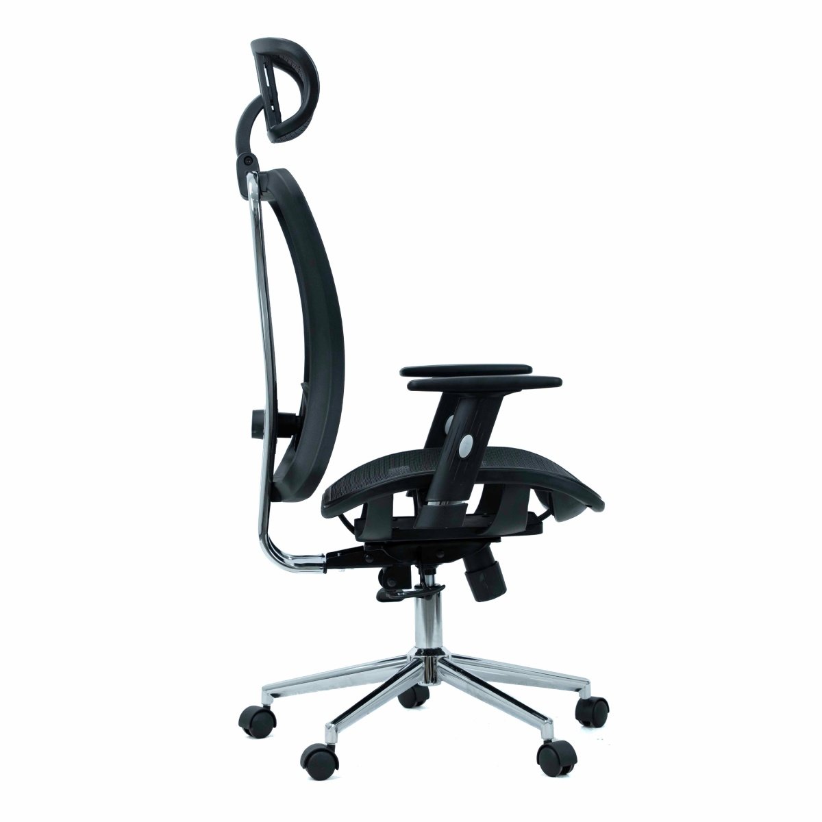 OC 875 - Image 4
