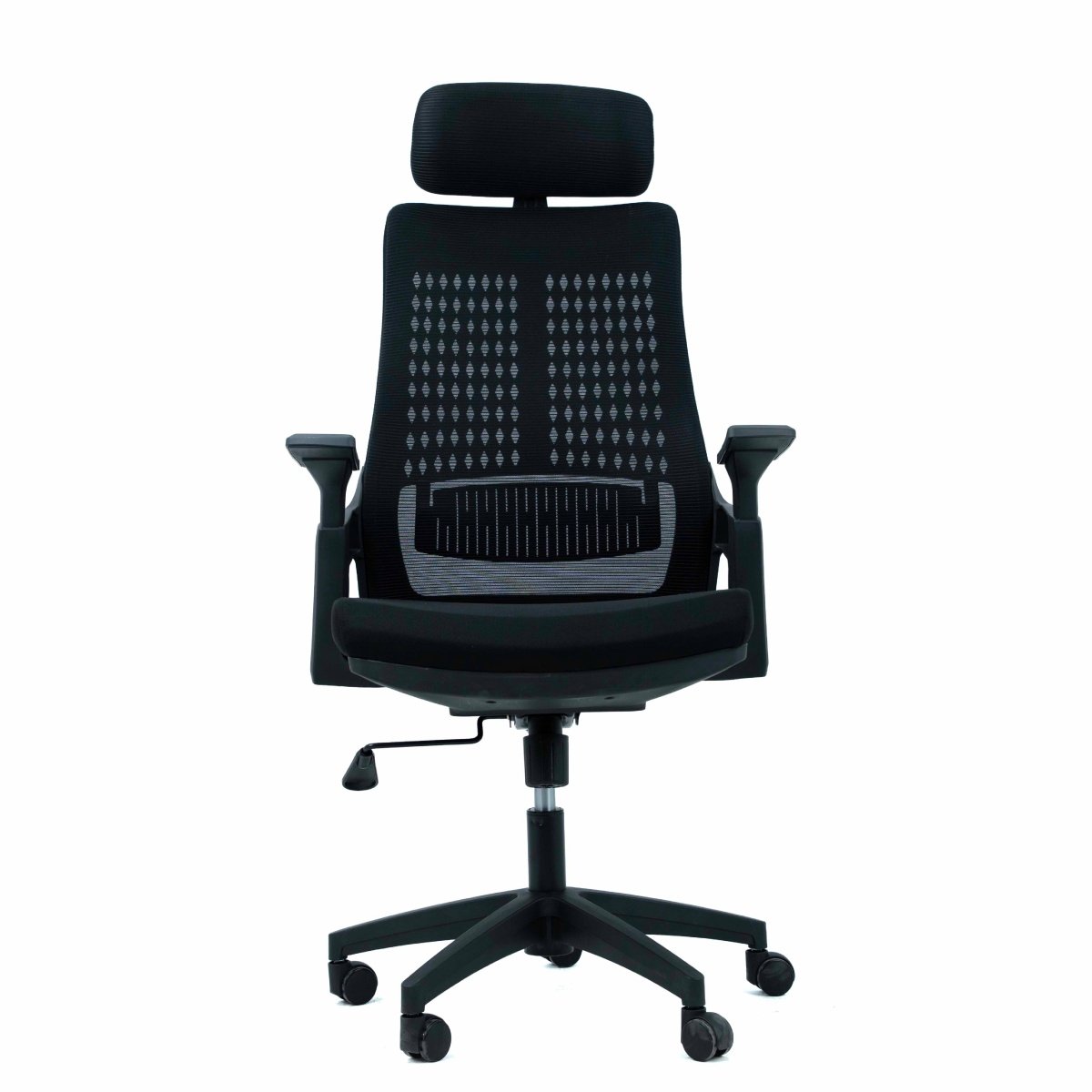 OC 2020 - Image 6