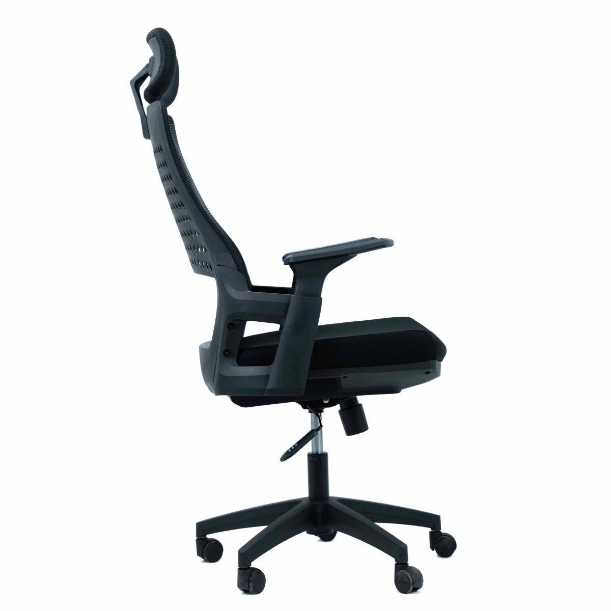 OC 2020 - Image 3