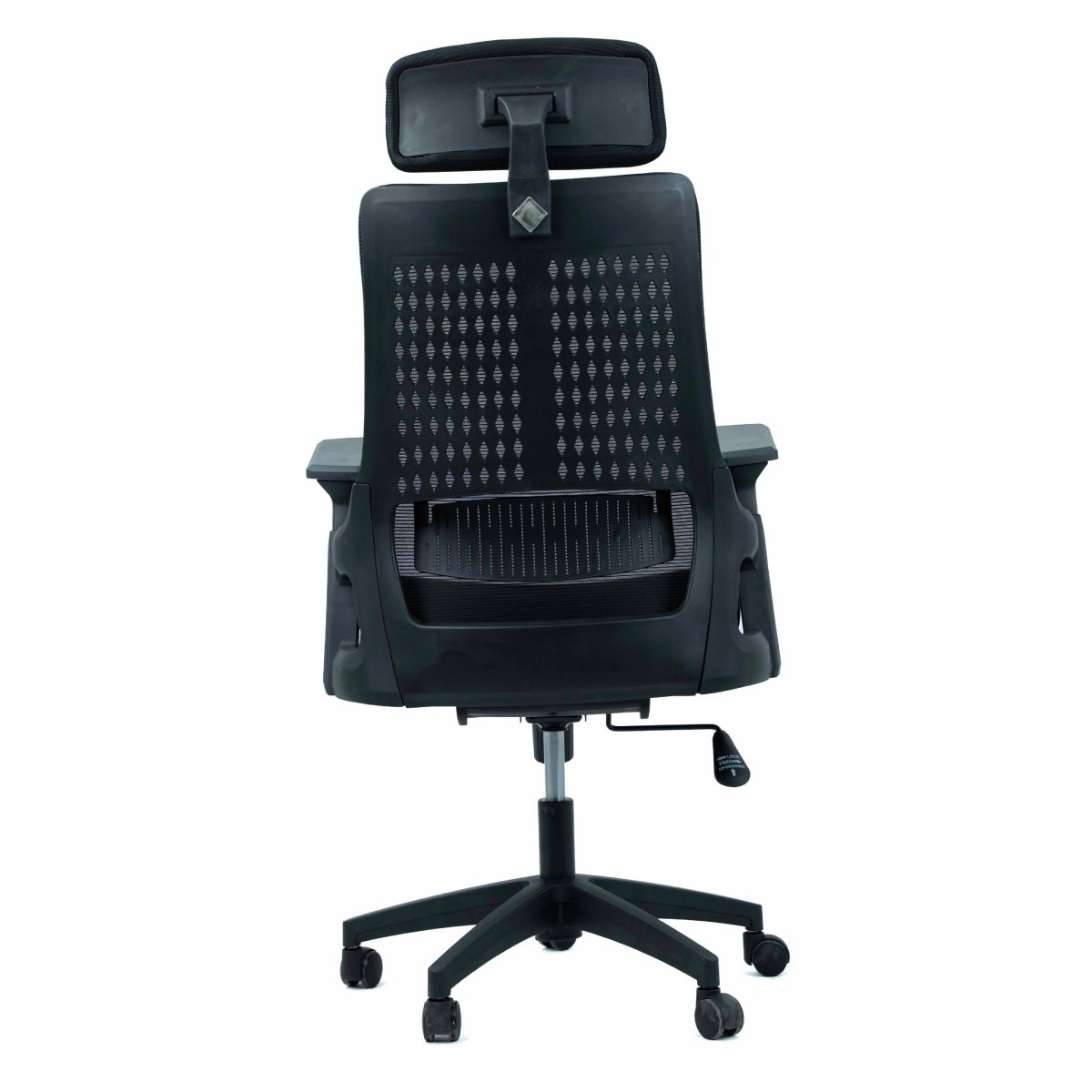 OC 2020 - Image 5